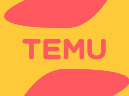 Temu fined more than $230 million by EU over illegal product sales